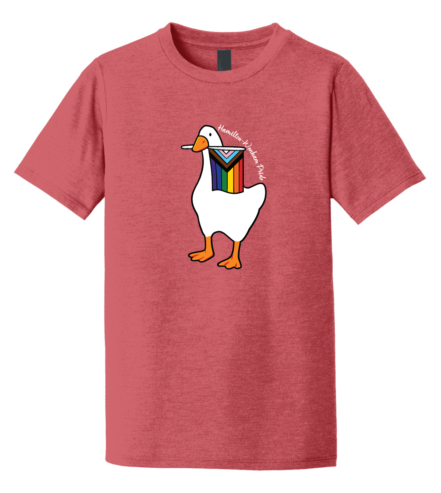 HW Pride Triblend T-Shirt (YOUTH and ADULT)