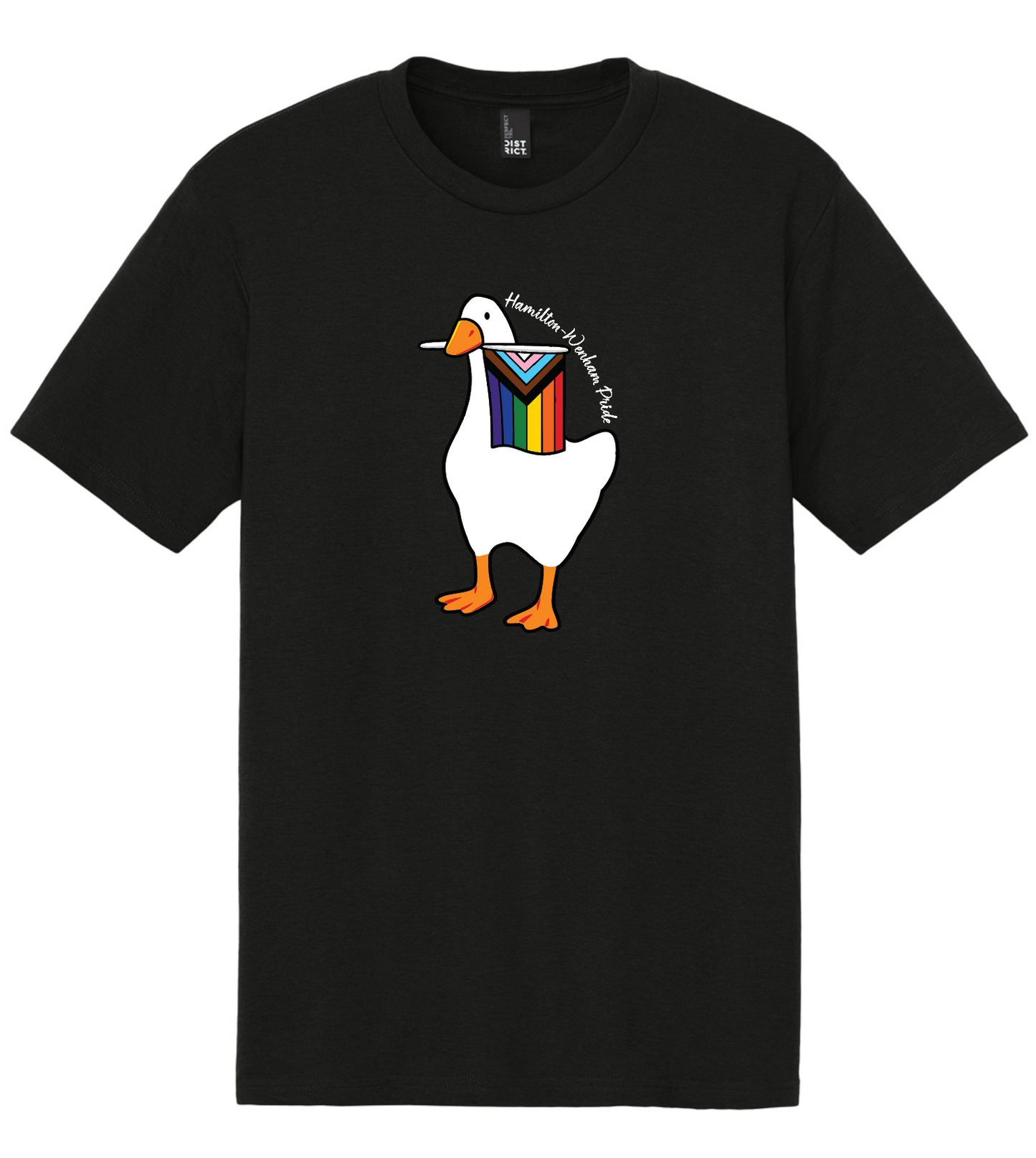 HW Pride Triblend T-Shirt (YOUTH and ADULT)