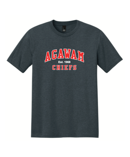 Short Sleeve T-Shirt (YOUTH and ADULT) - Agawam Hockey